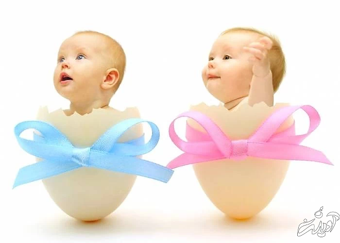 تعیین جنسیت جنین در طب بوعلی سینا  تعیین جنسیت جنین